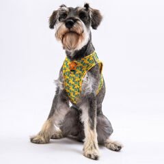 Pawstar Cactus Air-Mesh Göğüs Tasmas