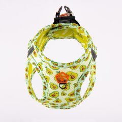 Pawstar Cactus Air-Mesh Göğüs Tasmas