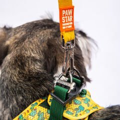 Pawstar Cactus Air-Mesh Göğüs Tasmas