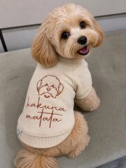 TAYGA PETS HAKUNA MATATA KÖPEK SWEAT NO:5