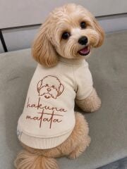 TAYGA PETS HAKUNA MATATA KÖPEK SWEAT NO:4
