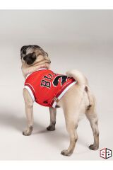 Salya Chicago File Köpek T-Shirt