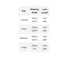 Reddingo Yastıklı Bone Yard Kemik Desenli Gezdirme Kayışı – Konforlu ve Dayanıklı