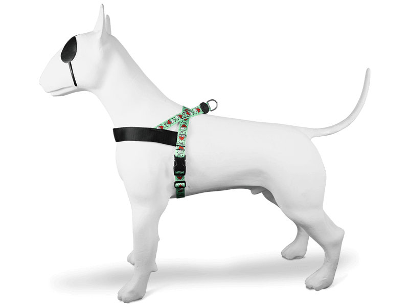 Jolly Roger Norveç Tipi Köpek Göğüs Tasması – XL