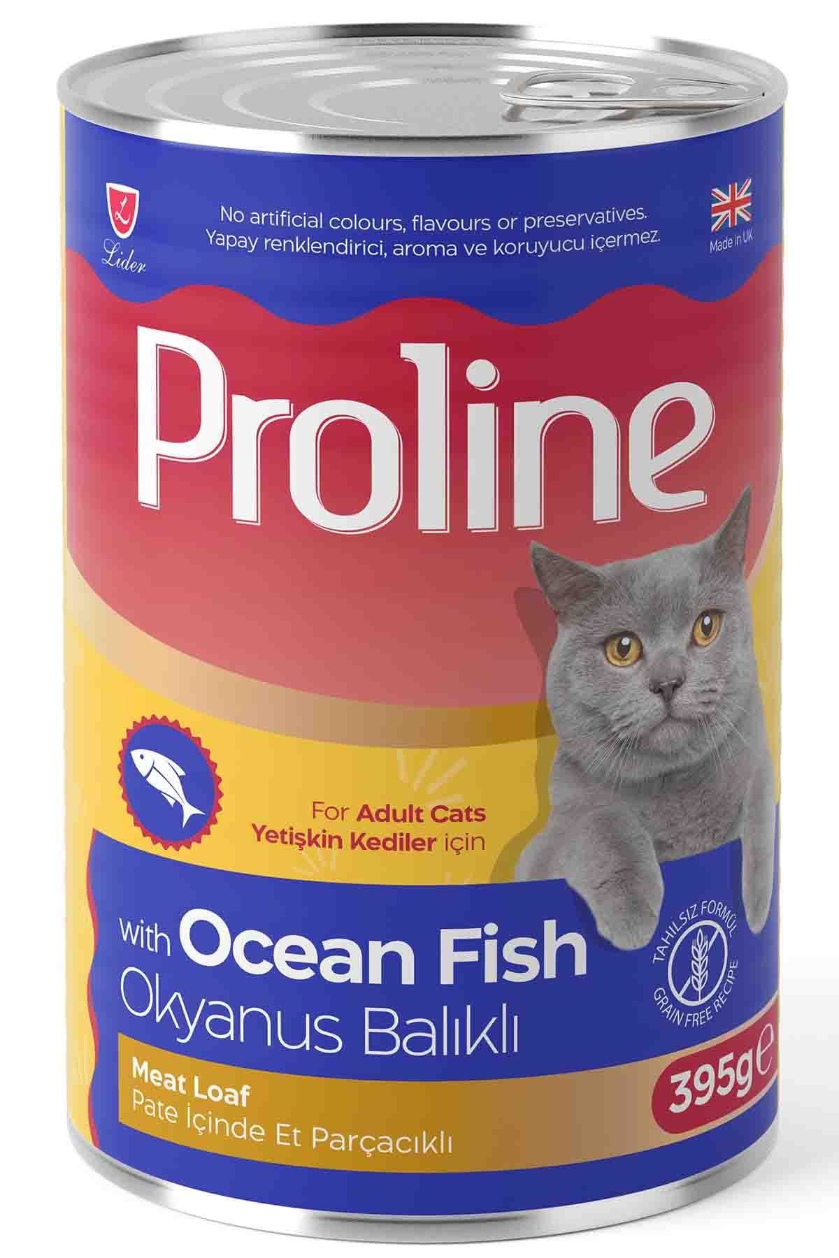 Okyanus Balıklı Pate Ezme Yetişkin Kedi Maması 395 Gr