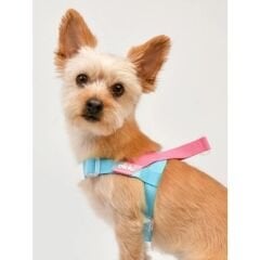 OLCHI BONGBONG HARNESS/SKY BLUE/M KÖPEK GÖĞÜS TASMASI LARGE