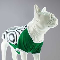 Green Köpek Tişörtü – Rahat, Esnek, Günlük Kullanıma Uygun (No:2)