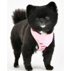 PUPPIA SEAMAN HARNESS A/PINK/XL