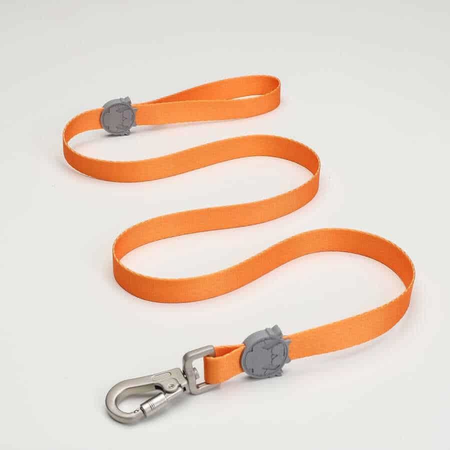 Lindodogs Royal Gezdirme Tasması