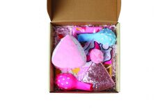 M-PETS Party Time Dişi Köpekler İçin Doğum Günü Seti