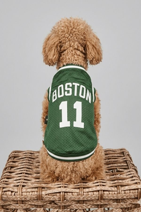 SALYA BOSTON FILE TSHIRT M KÖPEK KIYAFETİ MEDIUM