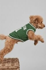 SALYA BOSTON FILE TSHIRT M KÖPEK KIYAFETİ MEDIUM