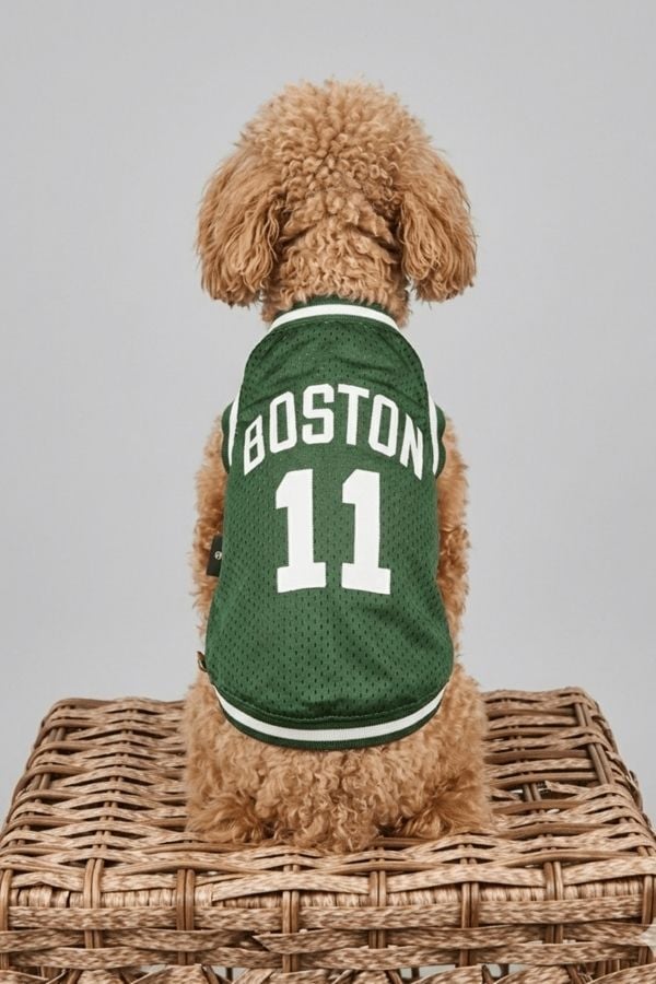 SALYA BOSTON FILE TSHIRT L KÖPEK KIYAFETİ LARGE