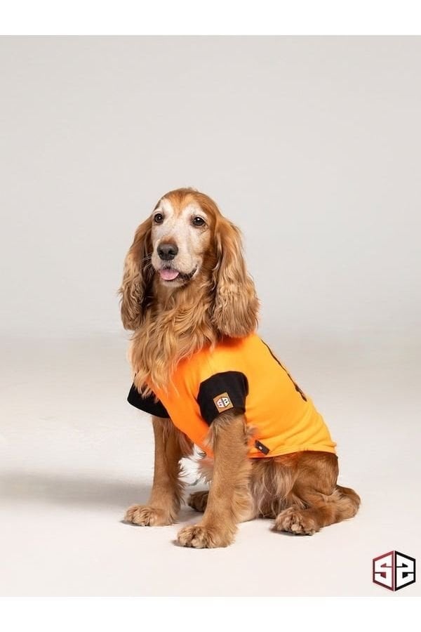 SALYA SOUND TURUNCU TSHIRT SMALL KÖPEK KIYAFETİ SMALL