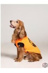SALYA SOUND TURUNCU TSHIRT SMALL KÖPEK KIYAFETİ SMALL