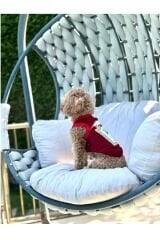 SALYA BARBECUE TSHIRT M KÖPEK KIYAFETİ MEDIUM