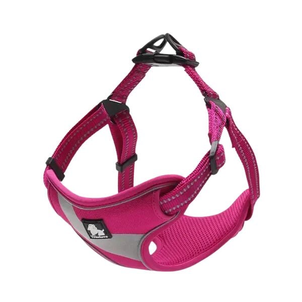 Truelove Oxford Kumaşlı Köpek Göğüs Tasması – Pembe Mesh