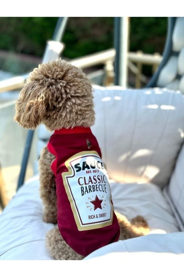 SALYA BARBECUE TSHIRT XXL KÖPEK KIYAFETİ XXLARGE