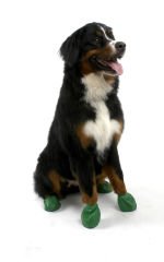 Pawz Köpek Galoşu XLarge Yeşil 12 li paket