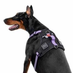 Waudog Collar Fosforlu ve QR Pasaportlu Köpek Göğüs Tasması, M, Mor 20mm