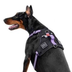 Waudog Collar Fosforlu ve QR Pasaportlu Köpek Göğüs Tasması – M, Mor, 20 mm