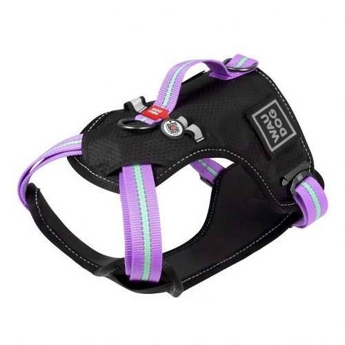 Waudog Collar Fosforlu ve QR Pasaportlu Köpek Göğüs Tasması – M, Mor, 20 mm