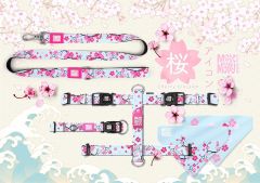 Cherry Bloom Köpek Gezdirme Kayışı