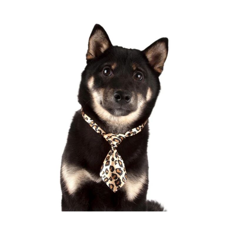 ShowTech Kravat Köpek Aksesuarı