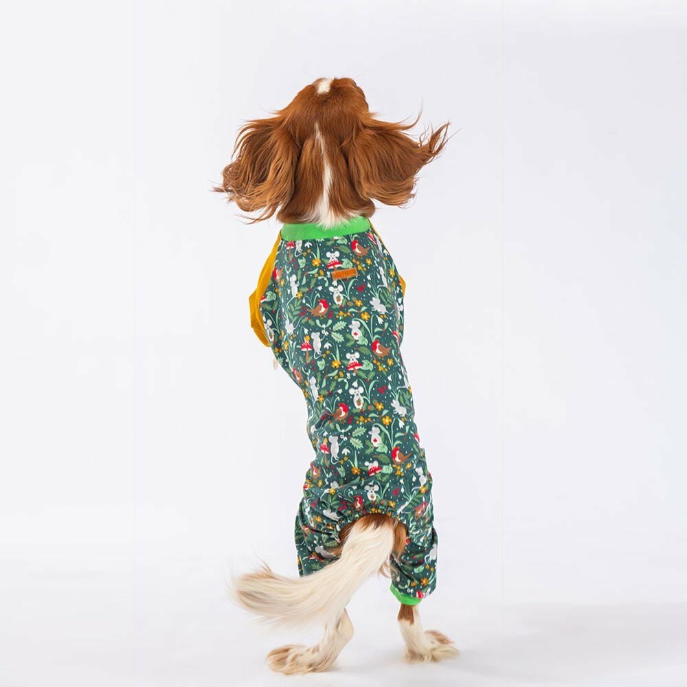 Pawstar Küçük Irk Köpek Mice Penye Tulum Pijama