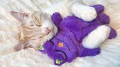 Purr Pillow Mırıldayan Kedi Peluş