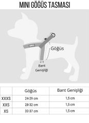 Rage Labyrint Mini Göğüs Tasması XXXS