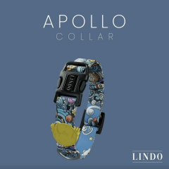 Lindodogs Apollo Köpek Boyun Tasması – Ayarlanabilir, Uzay Desenli