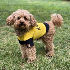 Salya Hug Please Köpek Yazlık T-shirt