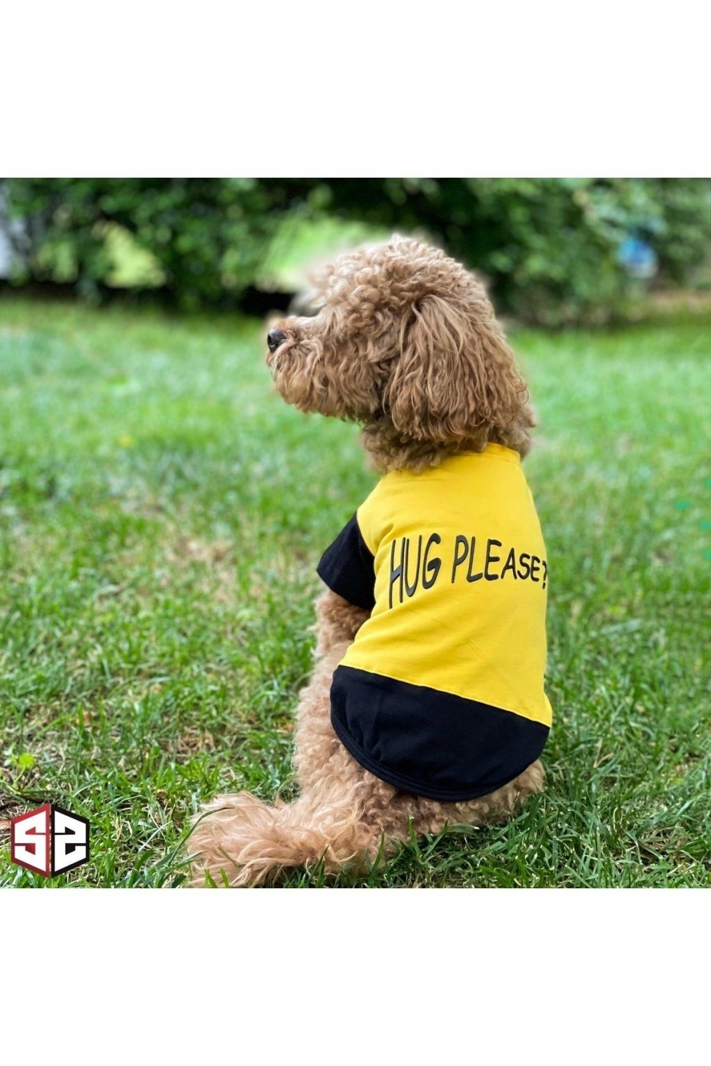 Salya Hug Please Köpek Yazlık T-shirt