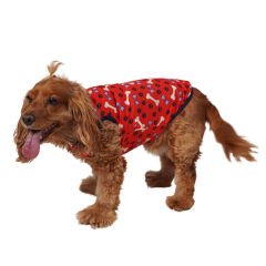 Pawstar Köpek Tişörtü Pati Desenli Kırmızı 2XLarge