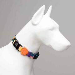 Lindodogs Ibiza Köpek Boyun Tasması – Ayarlanabilir, Polyester