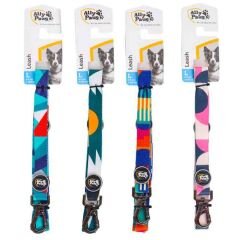 Ally Paws Köpek Gezdirme Kayışı  (L) 2,5cm x 120cm
