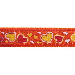 Reddingo Breezy Love Desenli Köpek Boyun Tasması – Dayanıklı ve Şık