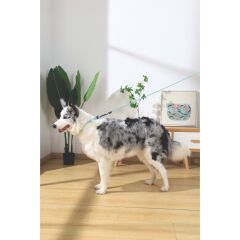 M-PETS GENTLE DOG GEZDİRME KAYIŞI (L) GREEN