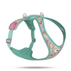 CURLI BELKA HARNESS AIR-MESH LE26 JUICY FRUITS TURQUOISE – GÖĞÜS TASMASI (3XL)