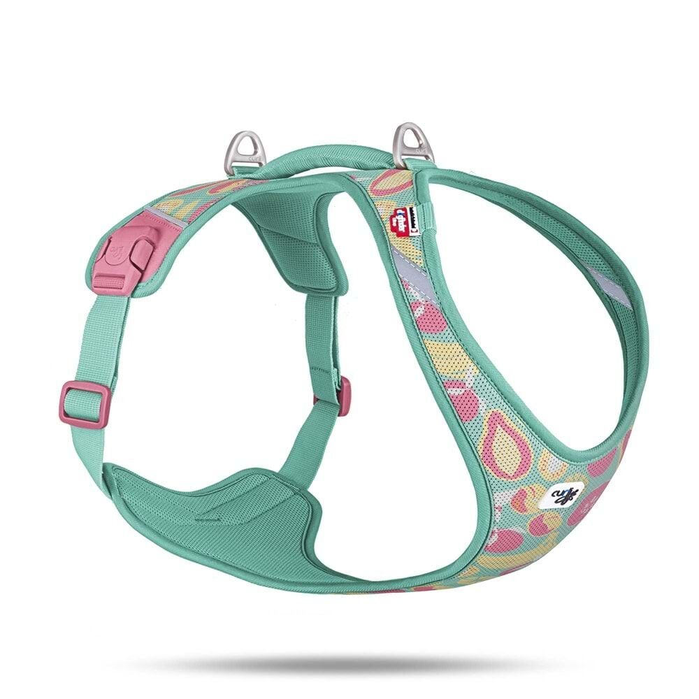 CURLI BELKA HARNESS AIR-MESH LE26 JUICY FRUITS TURQUOISE – GÖĞÜS TASMASI (2XL)