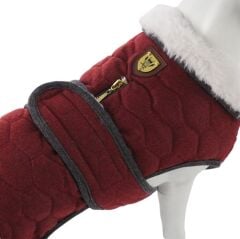 Lindo Luxury London Kırmızı Köpek Montu (3)