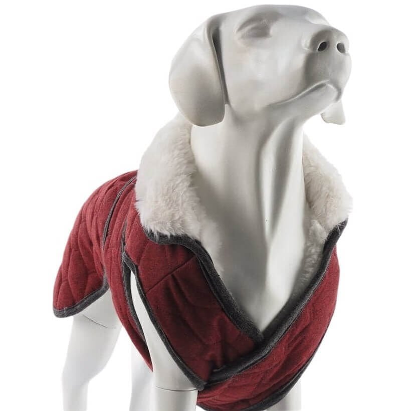 Lindo Luxury London Kırmızı Köpek Montu (3)