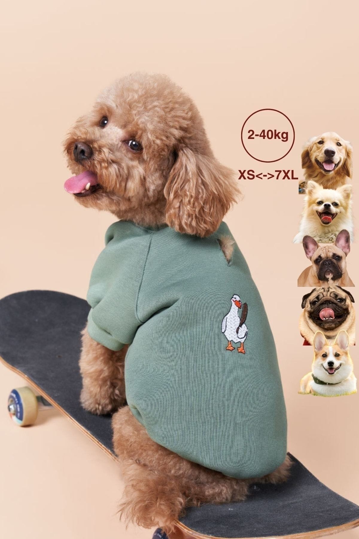 SALYA POU ÇAĞLAA YEŞİLİ SWEATSHIRT XS