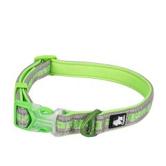 True Love Köpek Boyun Tasması – Neoprene Süngerli, Naylon Dokuma, Yeşil-Gri