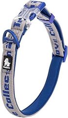 True Love Köpek İçin Neoprene Süngerli, Naylon Dokuma, Gri-Mavi Boyun Tasması