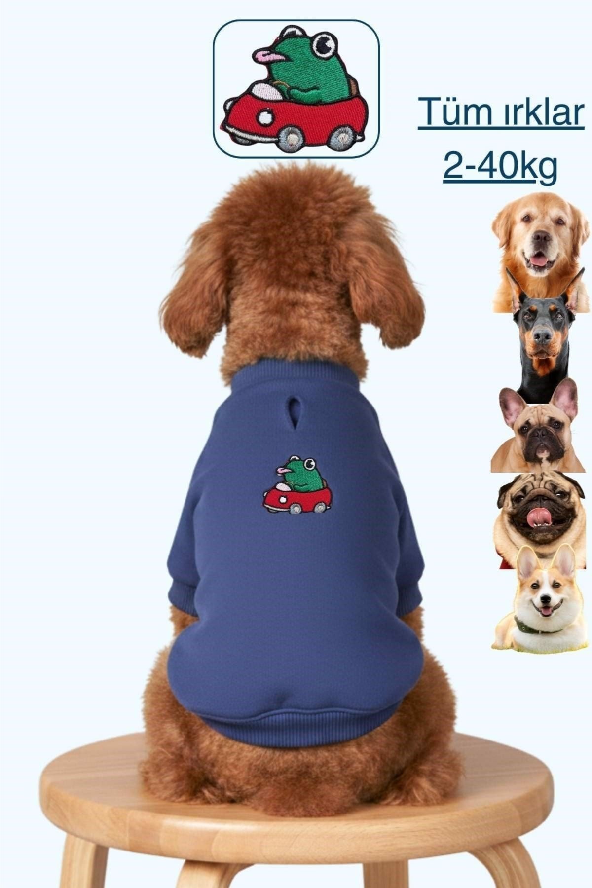 SALYA POU MAVİ SWEATSHIRT XL