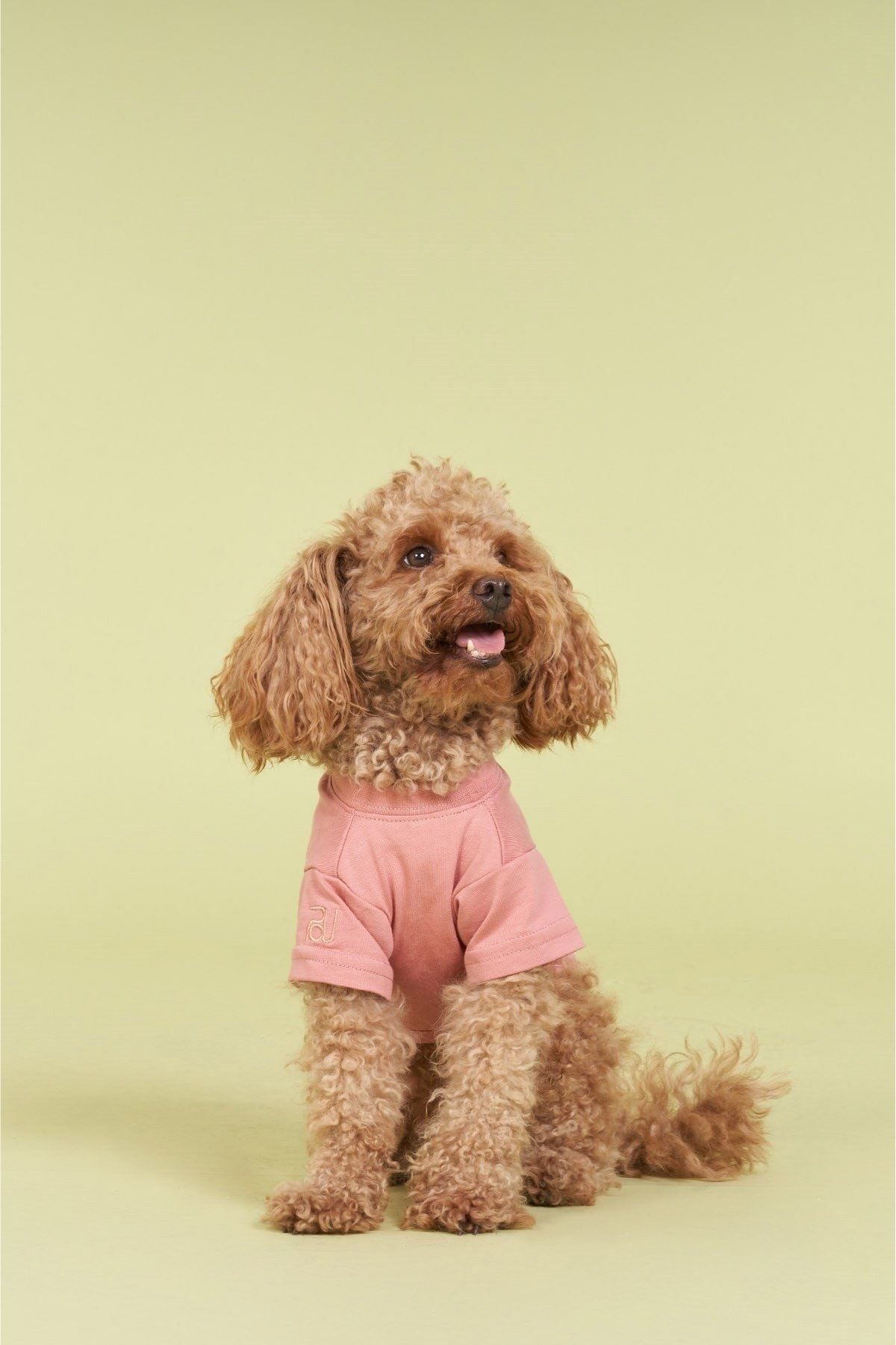 POU HANDS MERCAN TSHIRT L