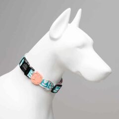 Lindodogs Touch Köpek Boyun Tasması – Ayarlanabilir, Polyester