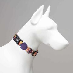 Lindodogs Gingerman Köpek Boyun Tasması – Ayarlanabilir, Polyester